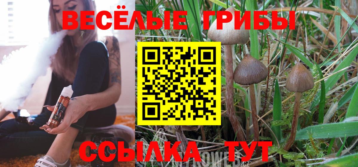 Псилоцибиновые грибы Psilocybine cubensis Азнакаево