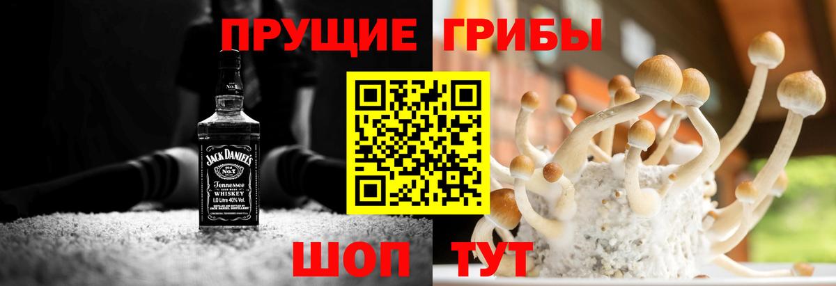 Галлюциногенные грибы прущие грибы  Вход с VPN  Псилоцибиновые грибы Psilocybe  Азнакаево 